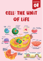 Cell Unit.pdf